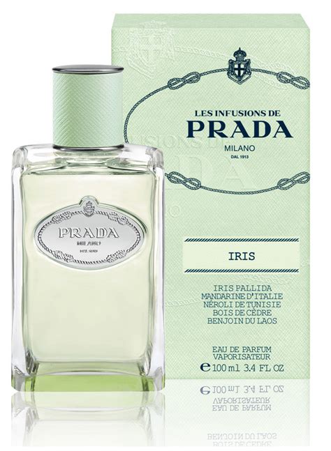 prada iris edp 100ml|iris Prada perfume.